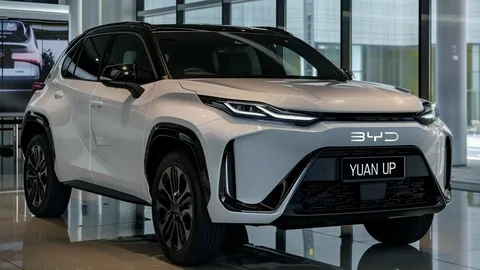 Best Affordable Electric Cars in 2026